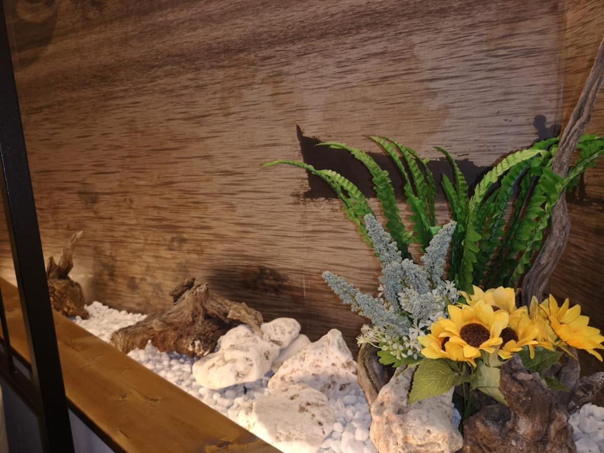 Le 3 Dee Bed & Breakfast Reggio di Calabria Dış mekan fotoğraf