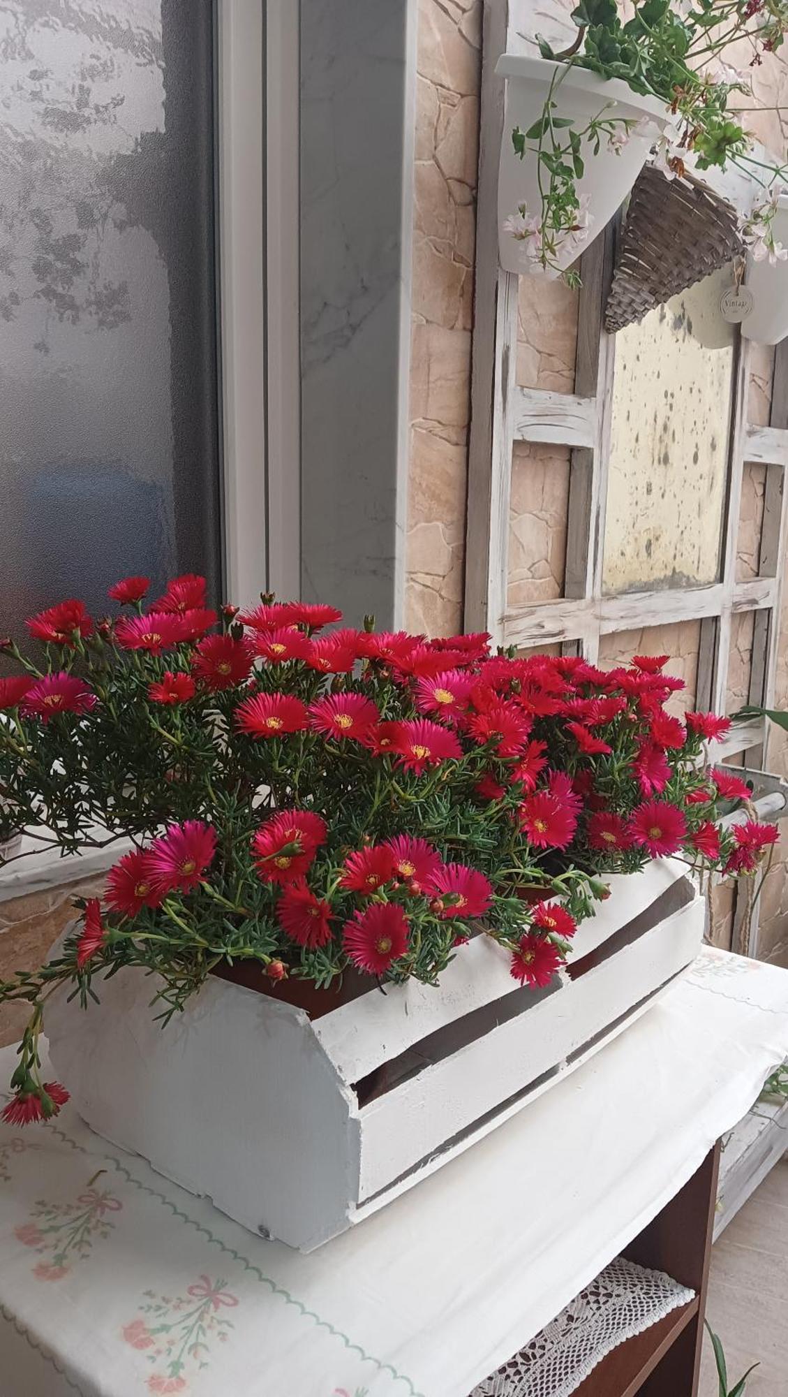 Le 3 Dee Bed & Breakfast Reggio di Calabria Oda fotoğraf
